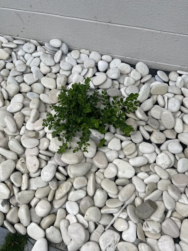 Expert garden landscaping experts serving Bradenton, FL - Abel Landscaping