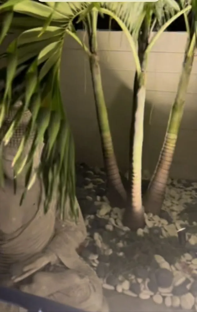 Expert lawn mowing service experts serving Bradenton, FL - Abel Landscaping