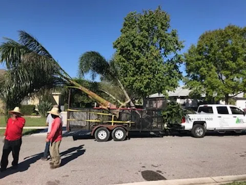 Local landscaping services for homes in Bradenton, FL by Abel Landscaping