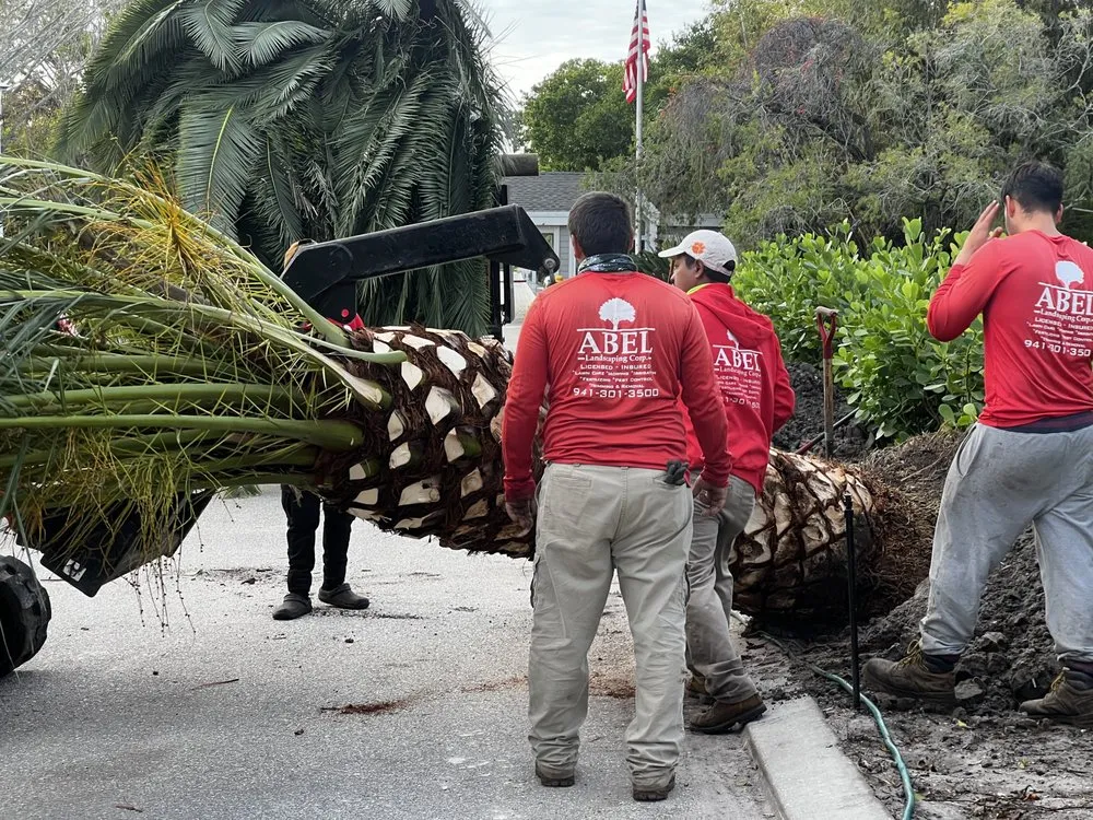 Top-rated lawn care service for homes in Bradenton, FL by Abel Landscaping