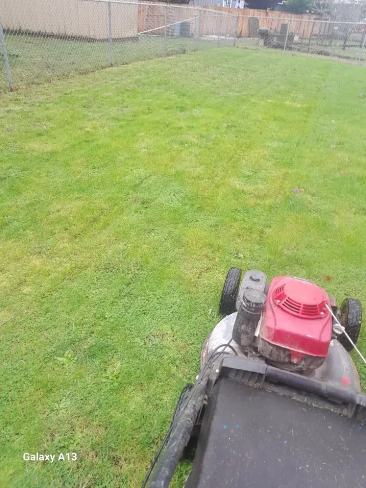 Top-rated garden landscaping in Tacoma, WA - Abel Lawn & Landscape