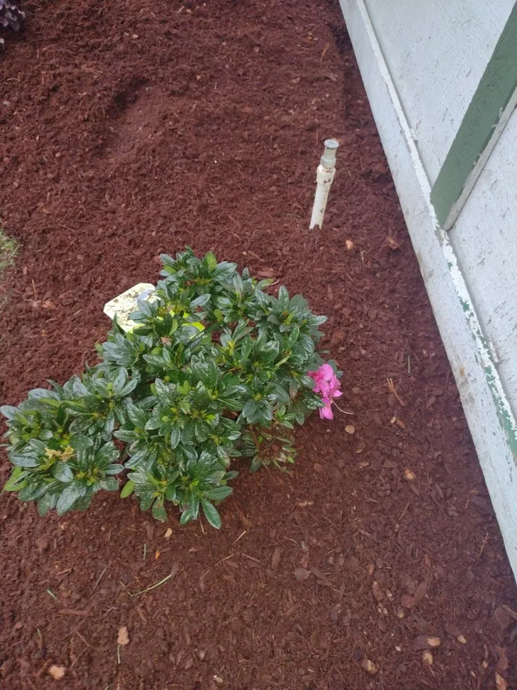 Reliable garden landscaping experts serving Tacoma, WA - Abel Lawn & Landscape