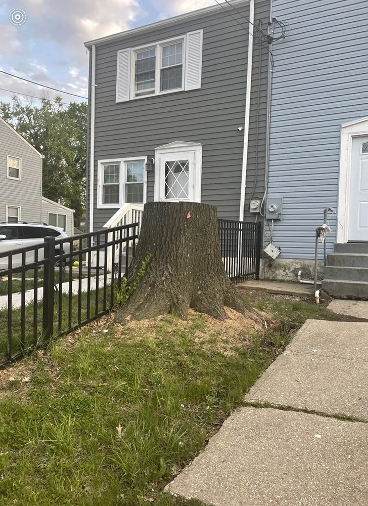 Affordable landscape installation for residential properties in Manassas, VA by Abel Professional Tree Service