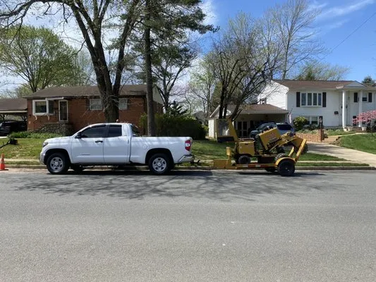 Abel Professional Tree Service Logo