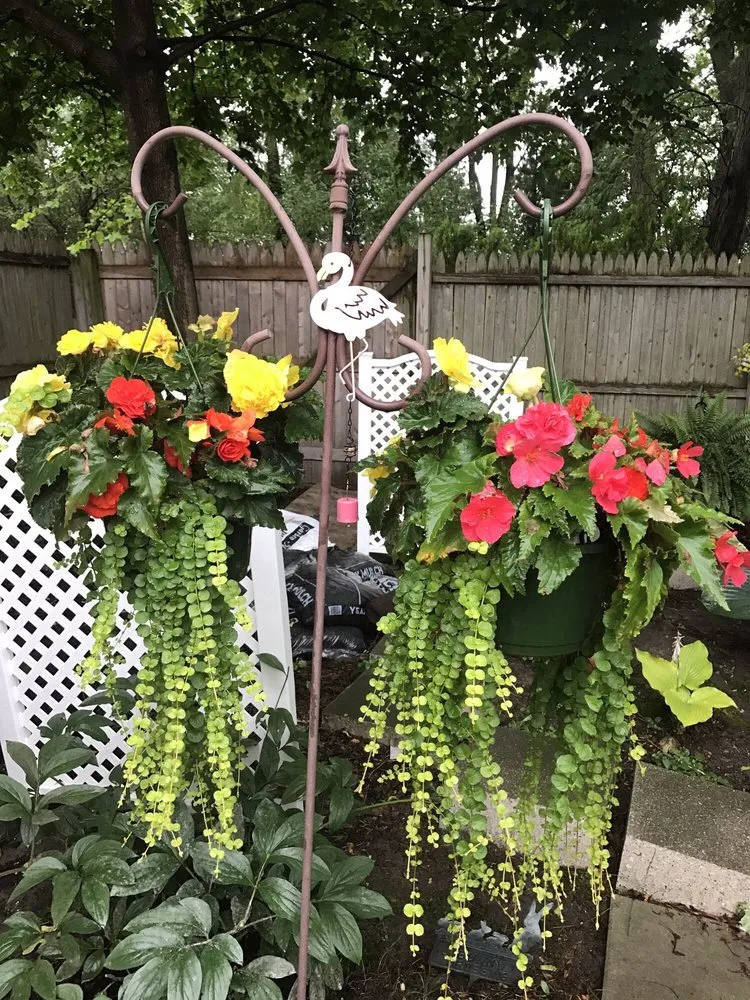 Local residential landscaping for beautiful yards in Saginaw, MI by Abele Greenhouse & Garden Center