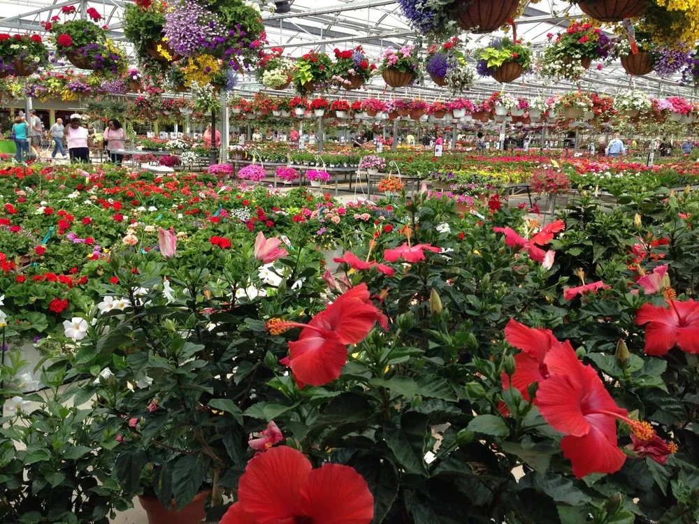 Trusted outdoor landscaping in Saginaw, MI by Abele Greenhouse & Garden Center