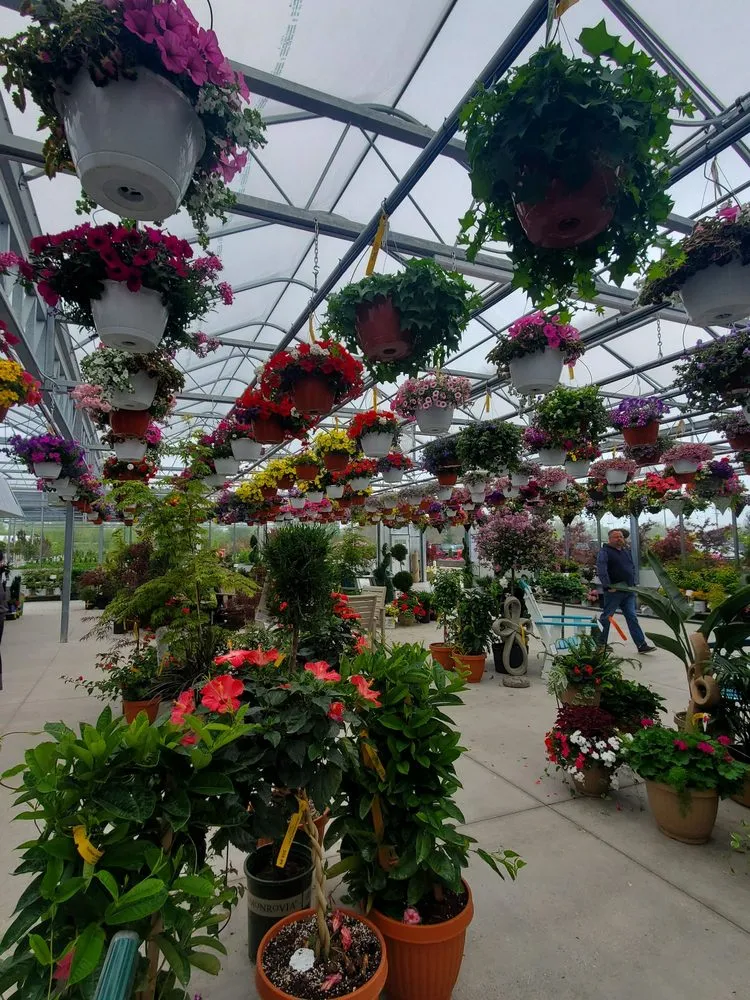 Top-rated yard cleanup service in Saginaw, MI - Abele Greenhouse & Garden Center