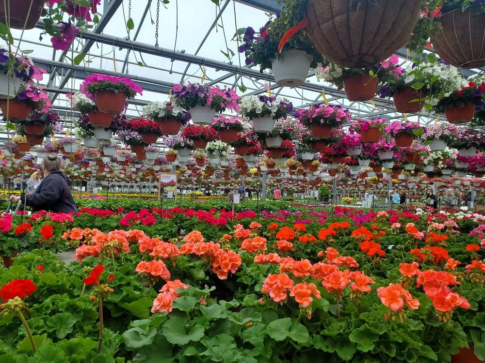 Local yard cleanup service near you across Saginaw, MI - Abele Greenhouse & Garden Center