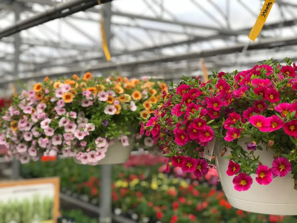 Trusted landscaping services in Saginaw, MI - Abele Greenhouse & Garden Center