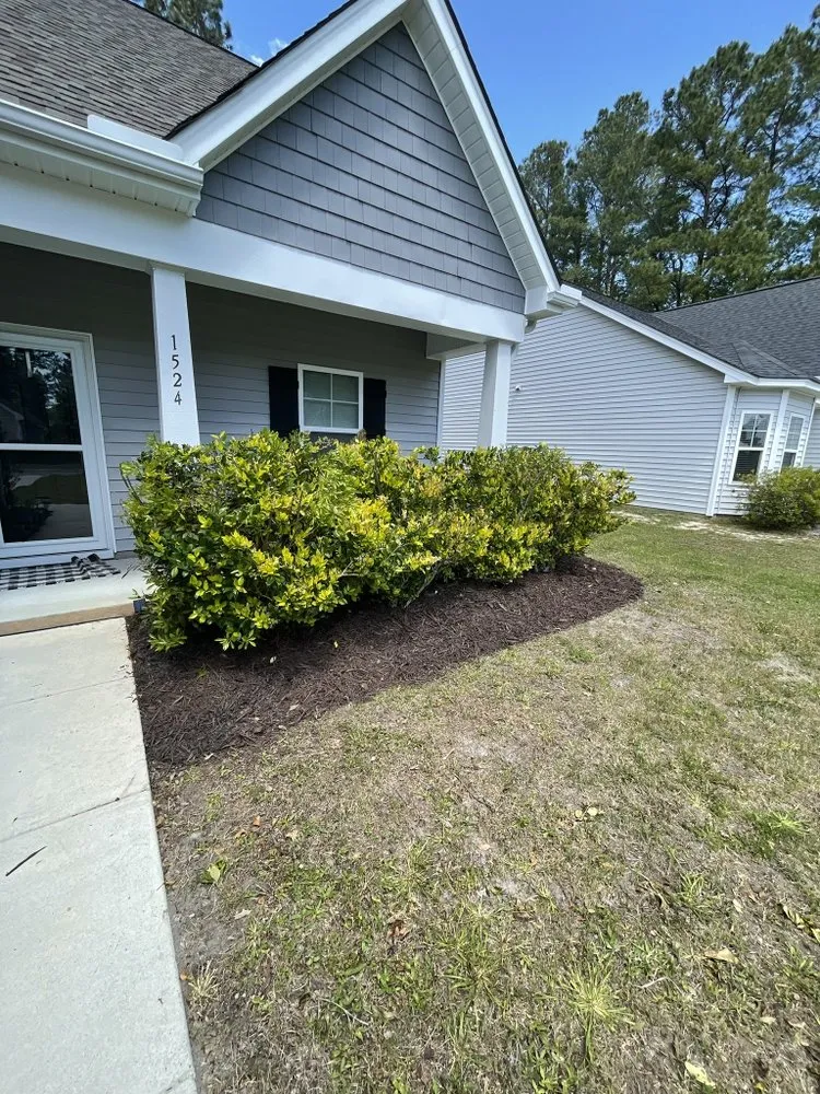 Affordable yard maintenance experts serving Wilmington, NC - Abeles Lawn Care