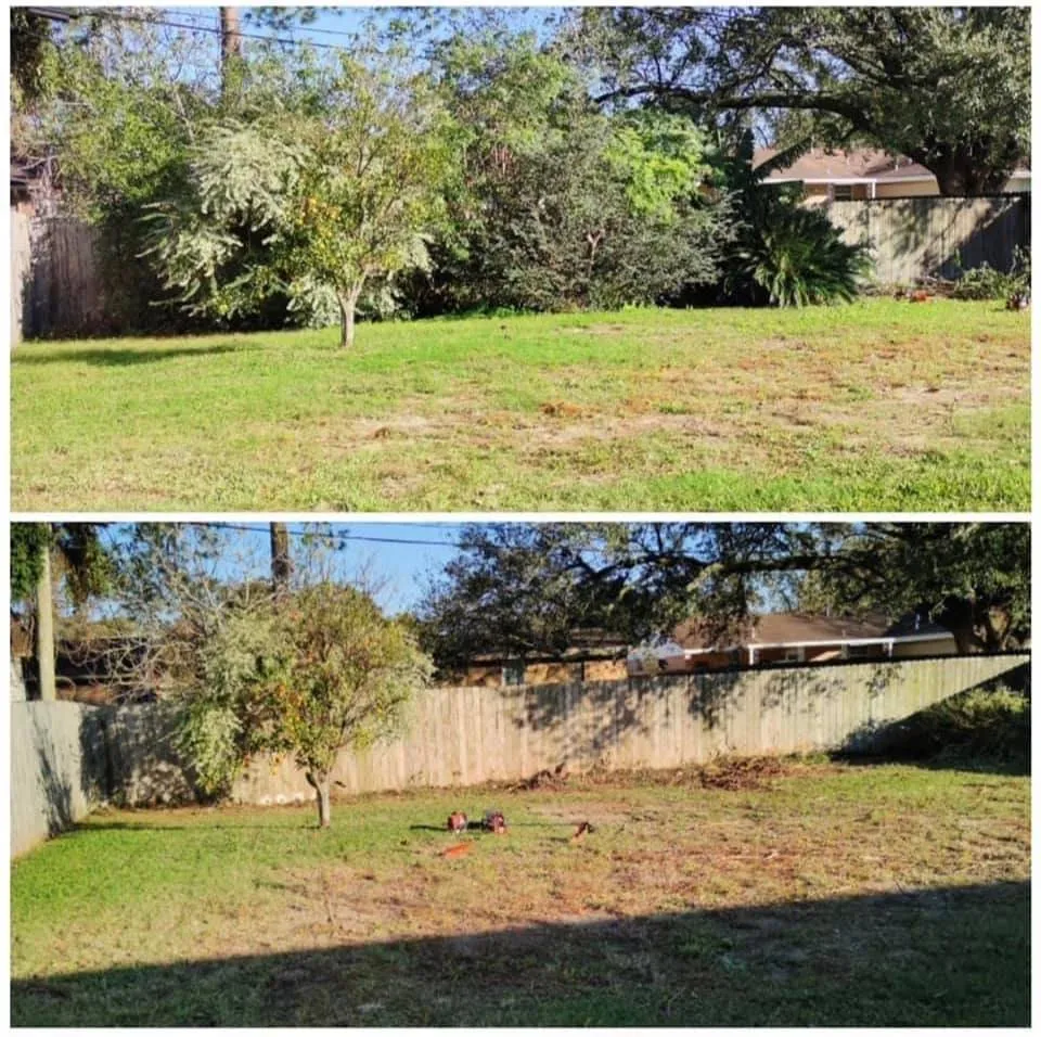 Expert yard maintenance experts serving Kenner, LA - Abelia Landscaping