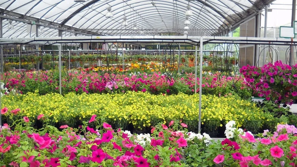 Reliable yard maintenance in Bloomington, IN by Abell Nursery & Landscape