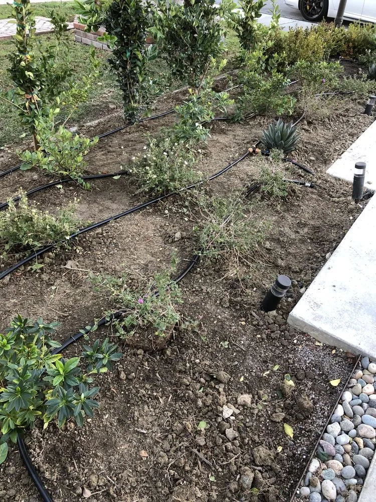 Top-rated lawn mowing service in Garden Grove, CA - Abel’s Garden Services