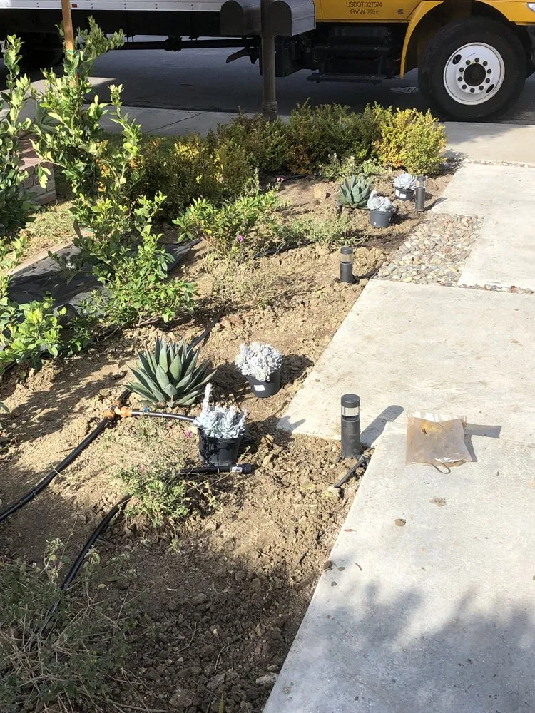 Trusted yard maintenance for homes across Garden Grove, CA - Abel’s Garden Services