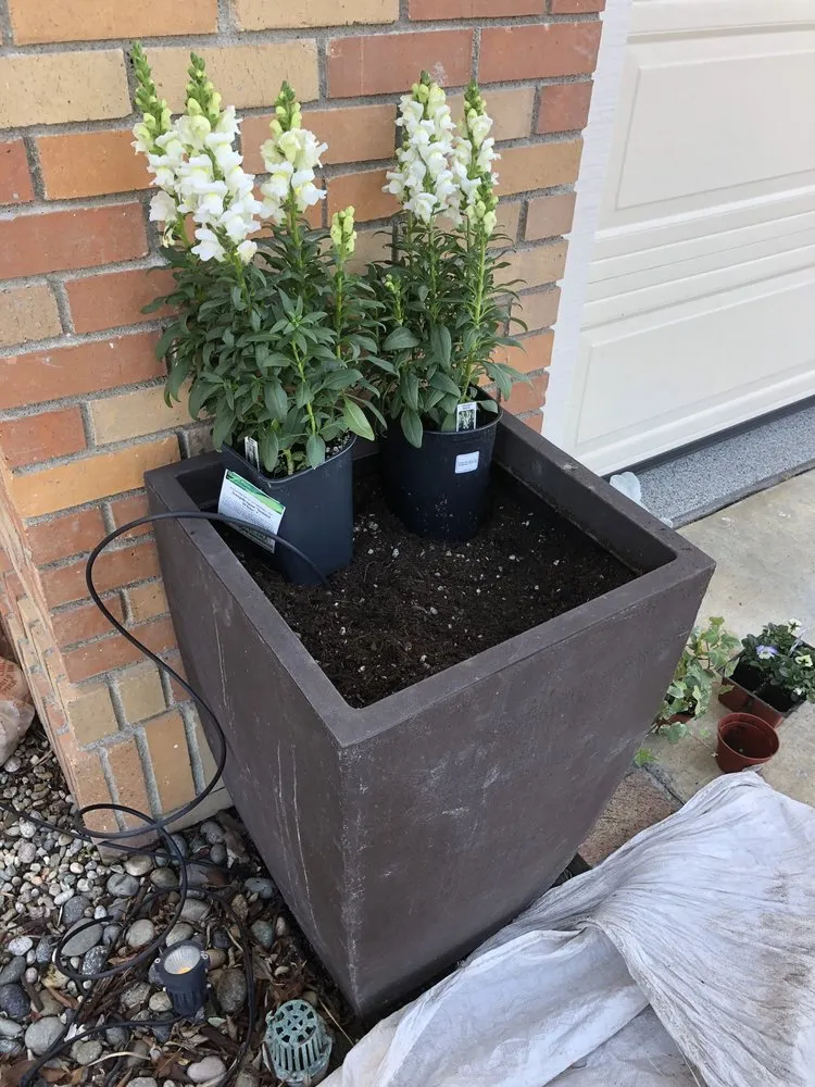 Top-rated lawn care service in Garden Grove, CA by Abel’s Garden Services