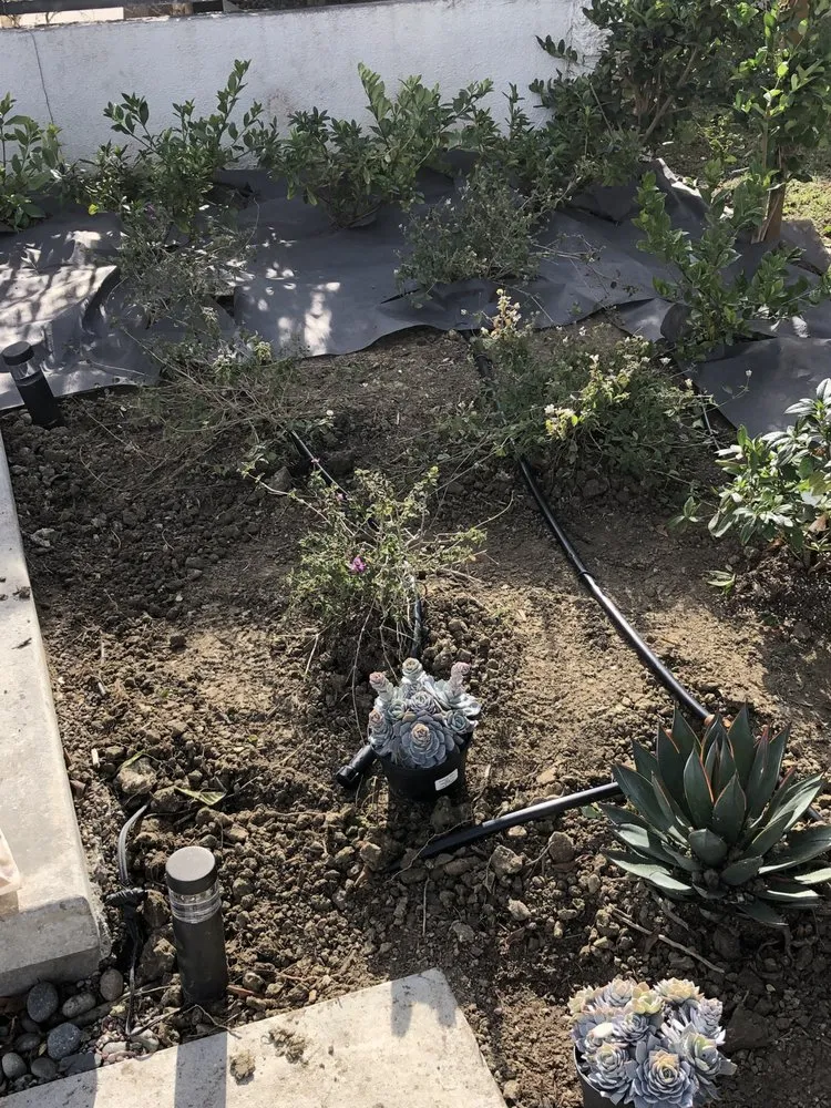 Reliable outdoor landscaping in Garden Grove, CA - Abel’s Garden Services