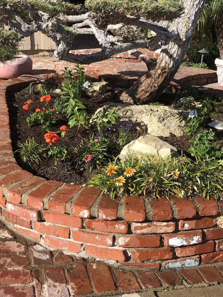 Expert landscape design with custom design across Garden Grove, CA - Abel’s Garden Services
