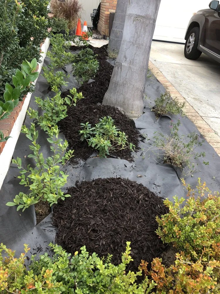 Reliable residential landscaping in Garden Grove, CA by Abel’s Garden Services