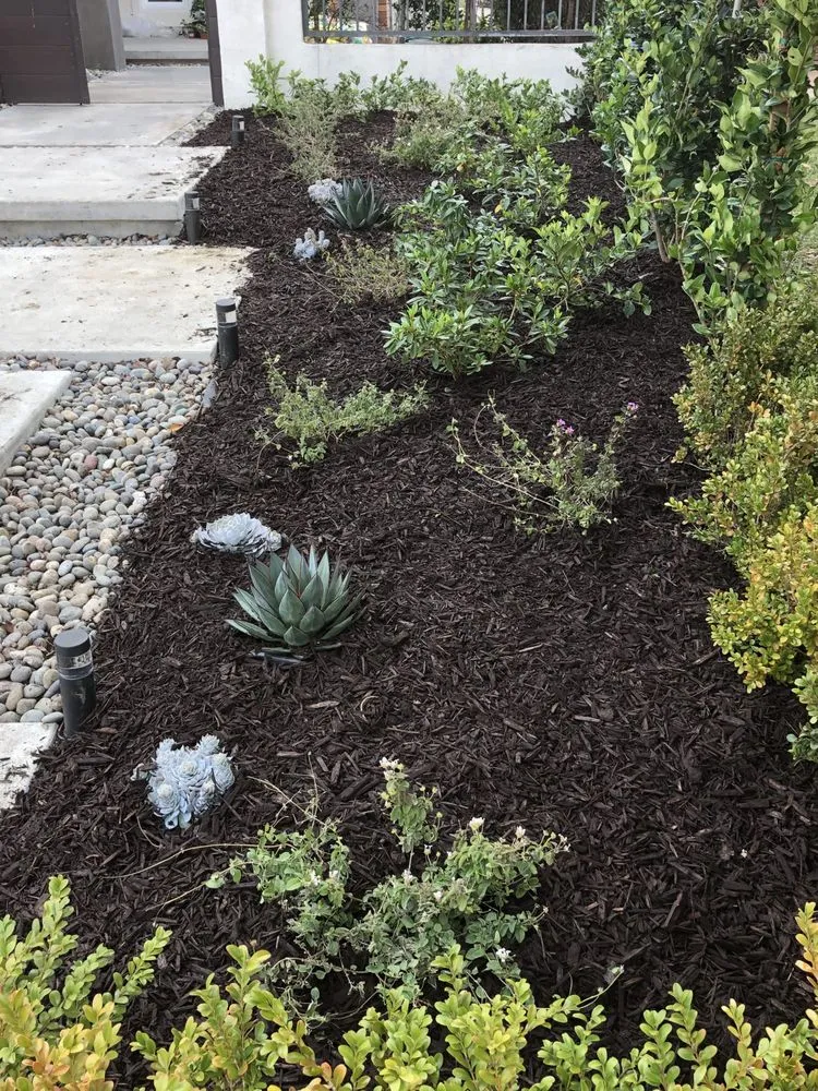 Trusted landscape installation for year-round maintenance in Garden Grove, CA by Abel’s Garden Services