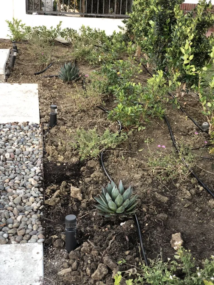 Affordable yard cleanup service in Garden Grove, CA - Abel’s Garden Services