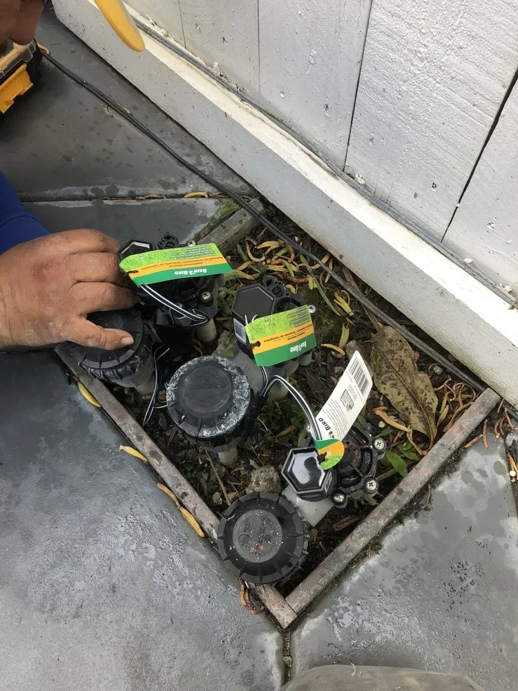 Affordable landscape installation for outdoor upgrades in Garden Grove, CA by Abel’s Garden Services