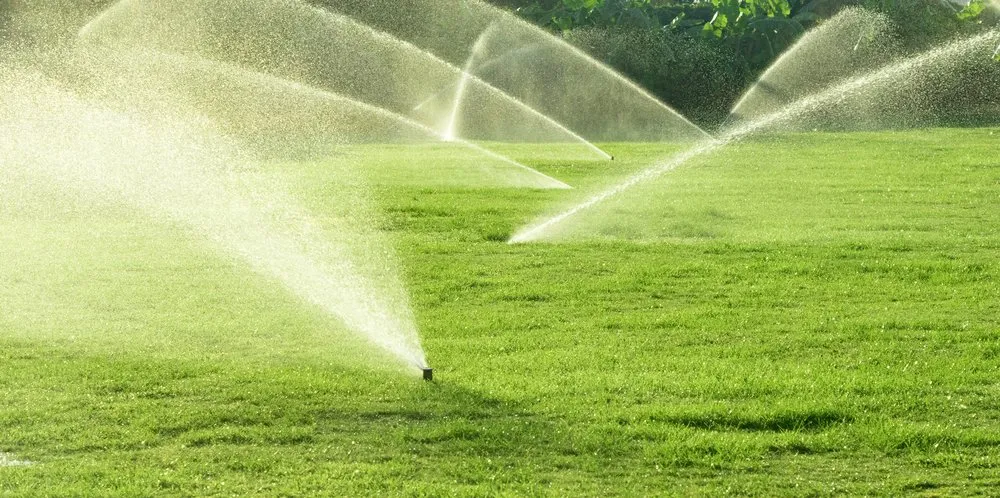 Reliable landscape design in Galliver, FL by Abels Irrigation And Landscaping AIAL