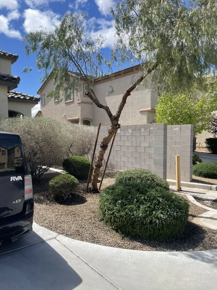 Expert residential landscaping in Las Vegas, NV - Abel’s Landscape Services