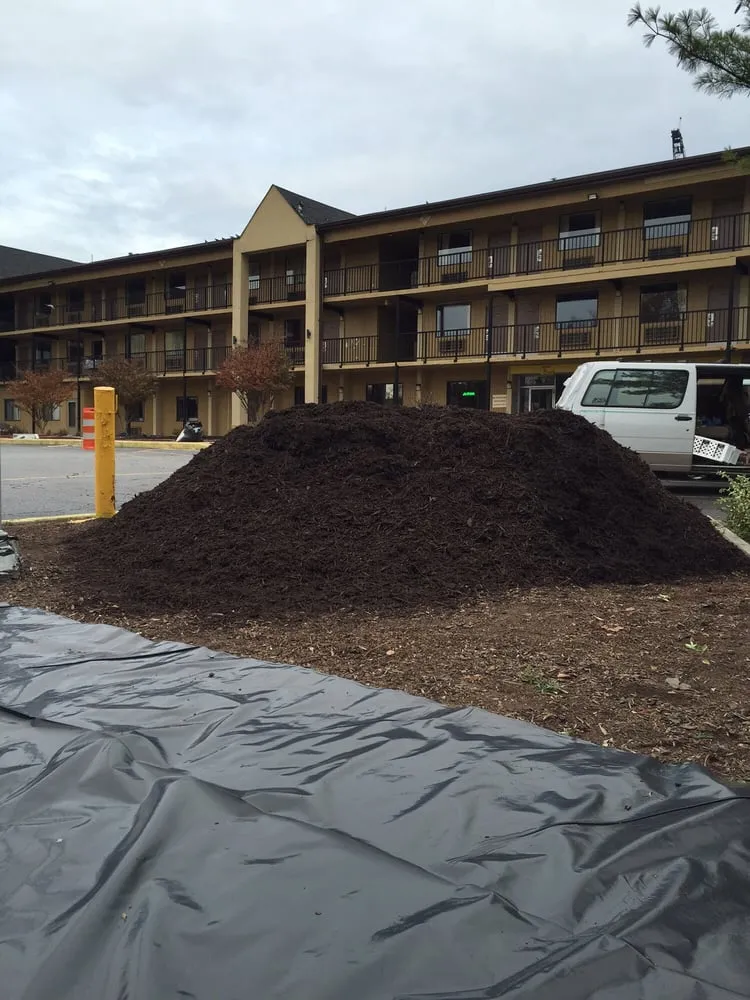 Professional residential landscaping for beautiful yards across Montgomery Village, MD - Abel's Landscaping