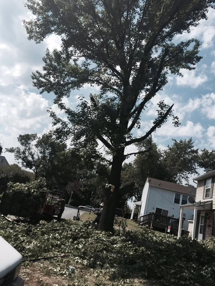 Expert outdoor landscaping experts serving Montgomery Village, MD - Abel's Landscaping