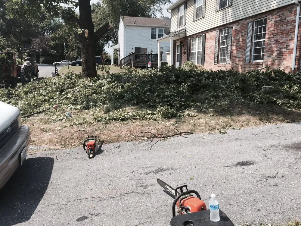 Custom outdoor landscaping in Montgomery Village, MD by Abel's Landscaping