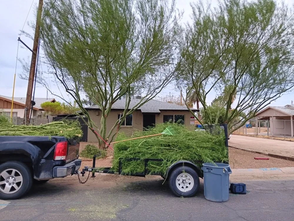 Local yard maintenance in Phoenix, AZ by Abel's Landscaping