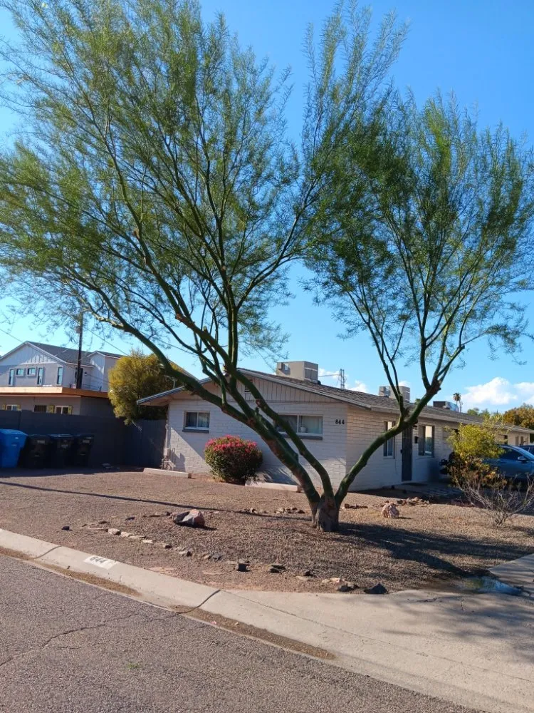 Top-rated residential landscaping for residential properties in Phoenix, AZ by Abel's Landscaping