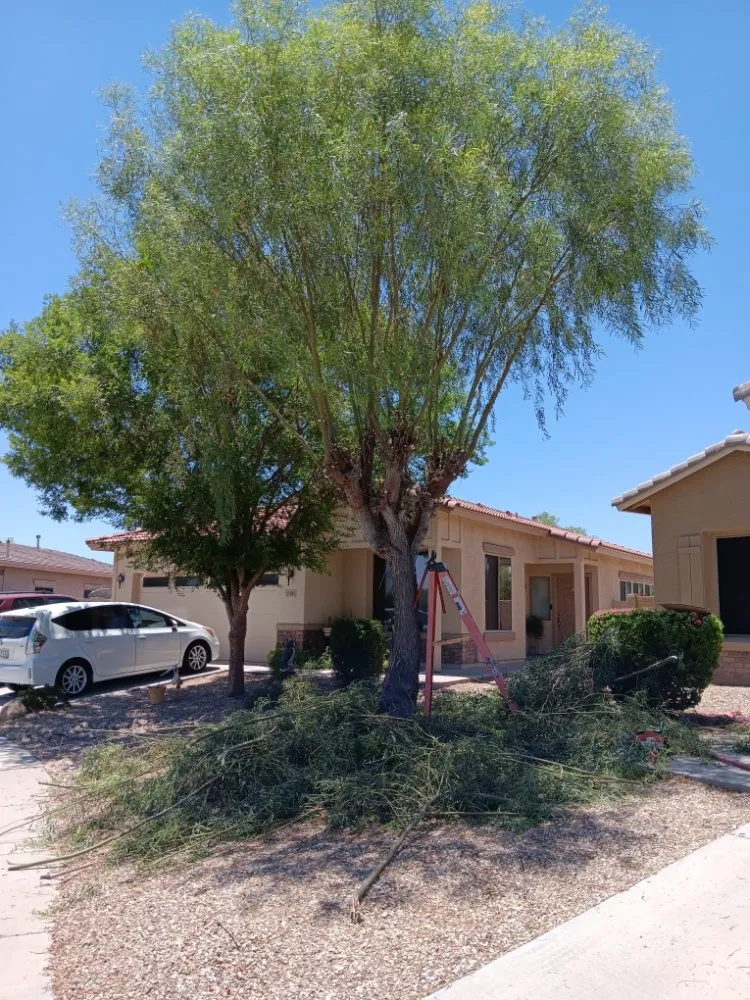 Custom residential landscaping for homes across Phoenix, AZ - Abel's Landscaping