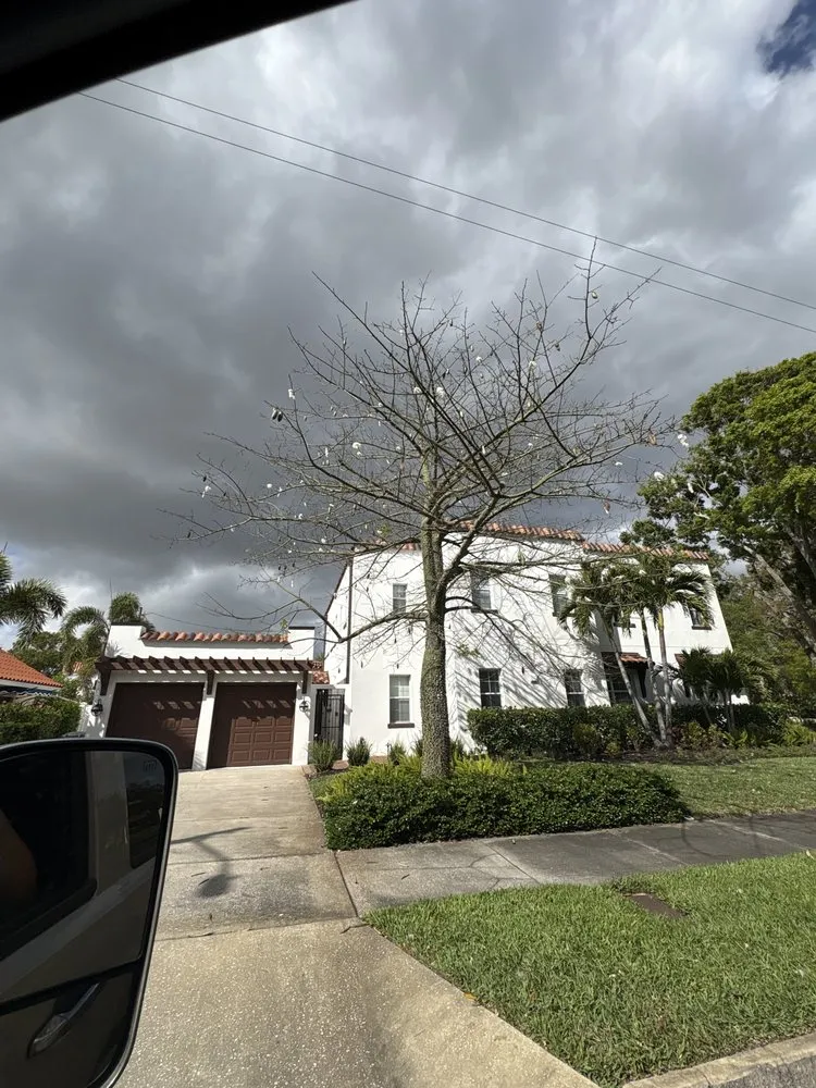 Professional yard maintenance for beautiful yards in Clearwater, FL by Abels Law Maintenance and Landscaping