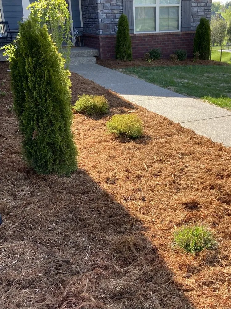 Expert landscaping services in Corydon, IN by Abel's Lawn & Landscaping
