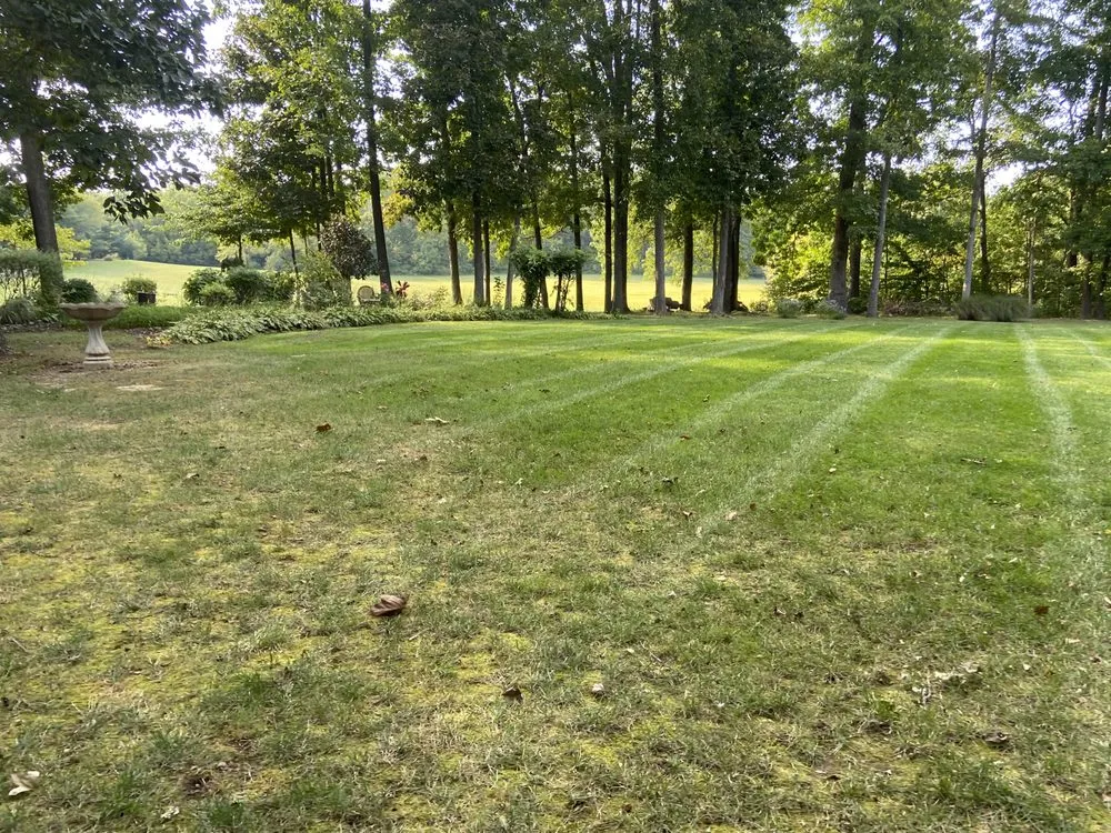 Affordable yard maintenance with custom design in Corydon, IN by Abel's Lawn & Landscaping