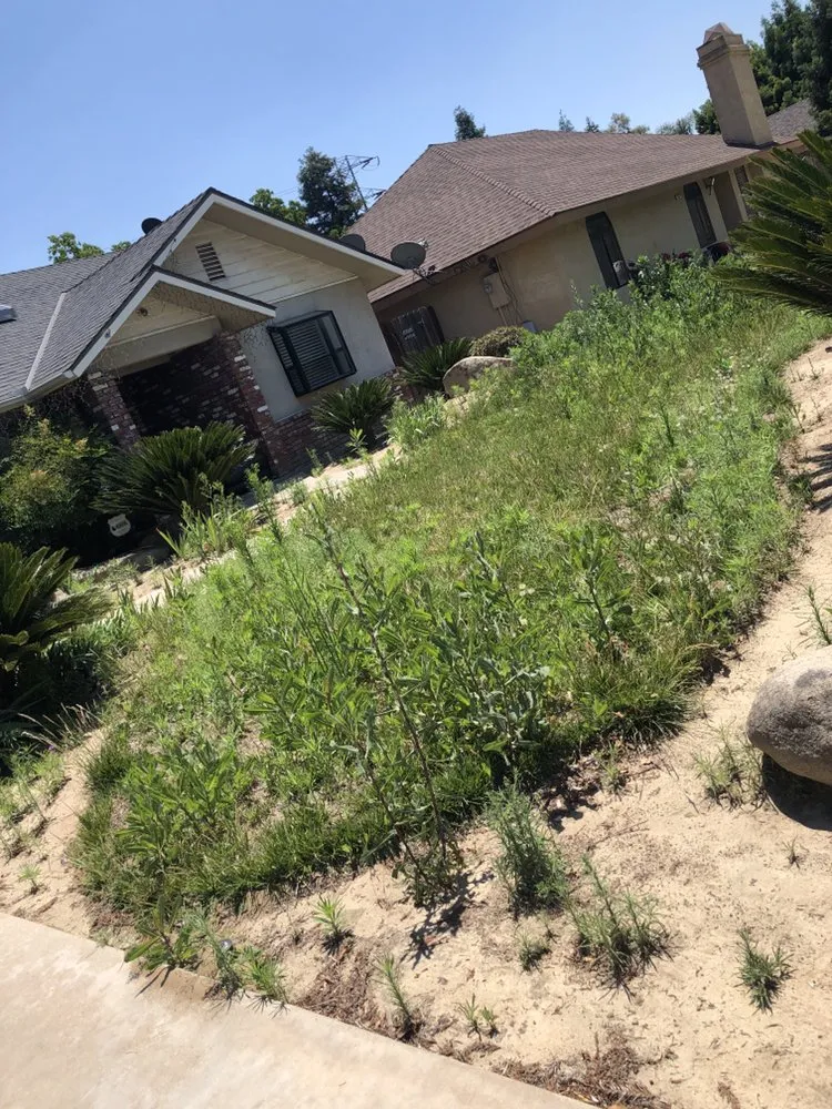 Expert yard maintenance in Fresno, CA - Abel's Lawn Service