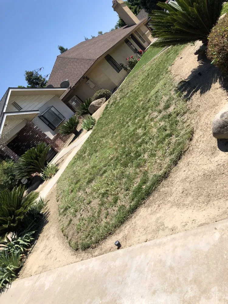 Local yard cleanup service near you across Fresno, CA - Abel's Lawn Service
