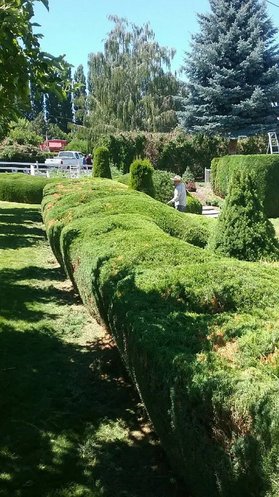 Reliable outdoor landscaping for outdoor upgrades in Yakima, WA by Abel's Lawn Service