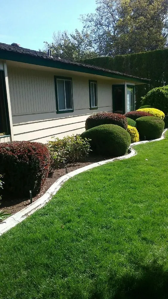 Trusted yard cleanup service experts serving Yakima, WA - Abel's Lawn Service