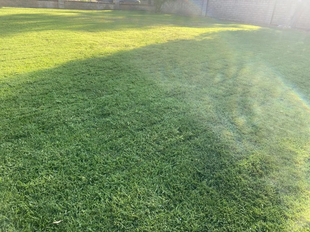 Local garden landscaping in Panorama City, CA - Abel’s Tree service