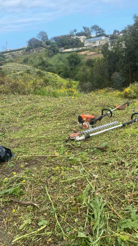 Top-rated lawn care service in Panorama City, CA - Abel’s Tree service