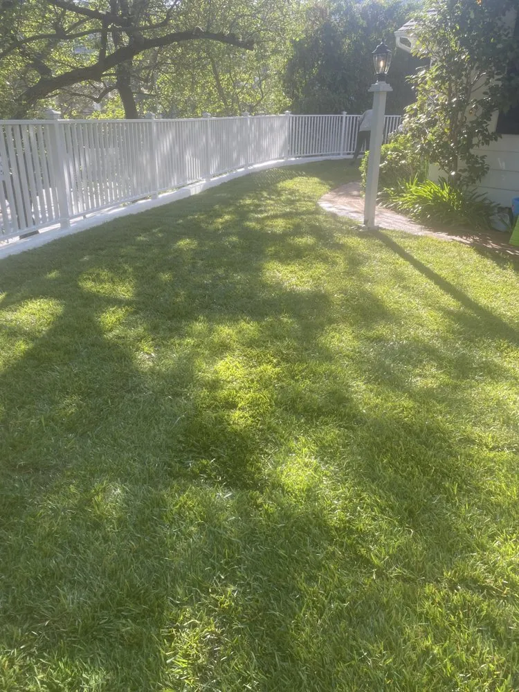 Top-rated lawn mowing service experts serving Panorama City, CA - Abel’s Tree service