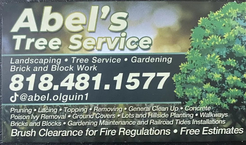 Professional landscape design experts serving Panorama City, CA - Abel’s Tree service