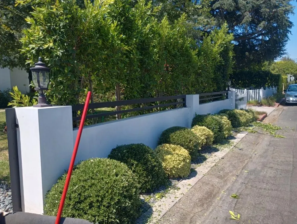 Custom garden landscaping in Panorama City, CA - Abel’s Tree service