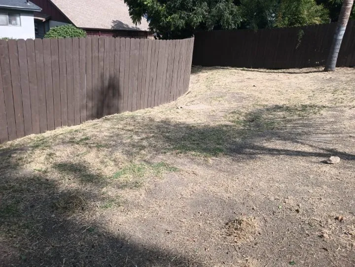 Professional lawn mowing service for homes in Panorama City, CA by Abel’s Tree service