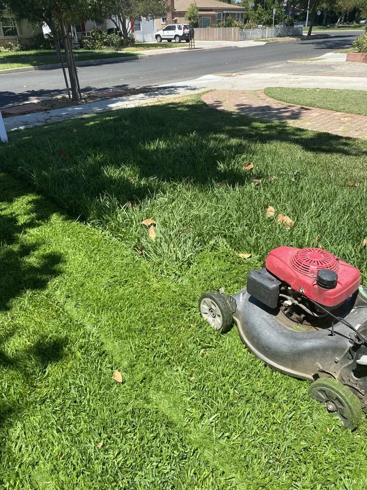 Affordable yard cleanup service in Panorama City, CA by Abel’s Tree service