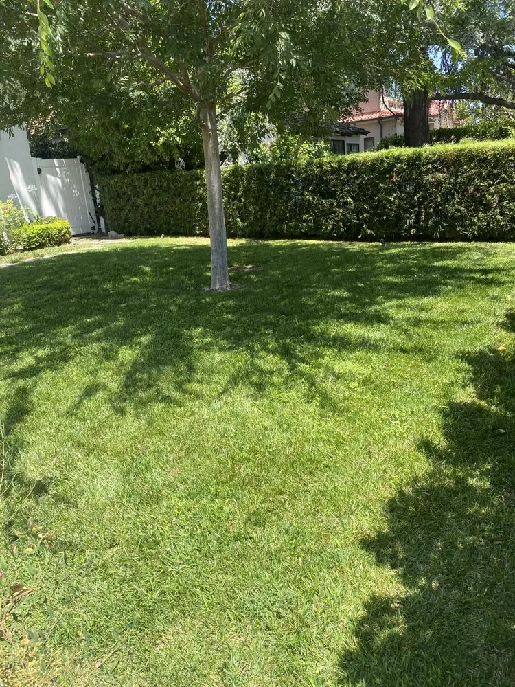 Expert yard maintenance for year-round maintenance in Panorama City, CA by Abel’s Tree service