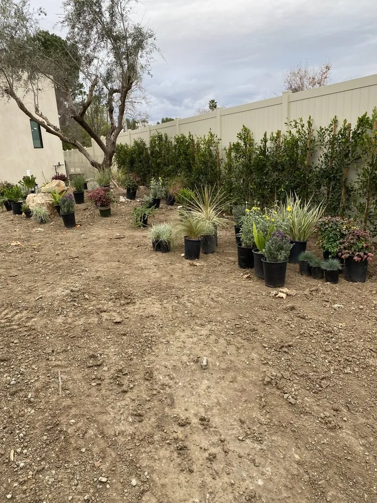 Custom landscape design for beautiful yards across Panorama City, CA - Abel’s Tree service