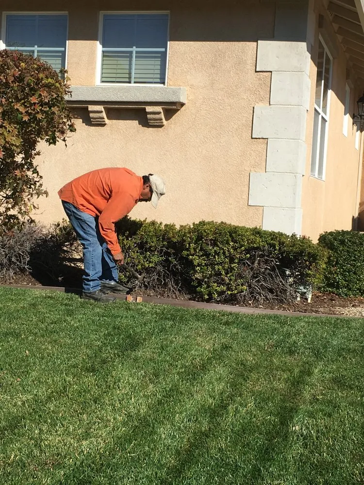 Expert lawn mowing service in Pittsburg, CA by Abel's Yard Services
